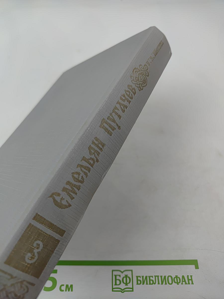 Емельян Пугачев. Книга третья