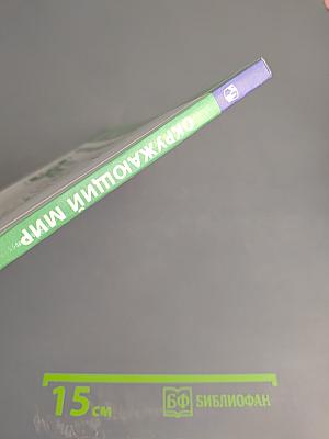 Окружающий мир 3 класс часть 2