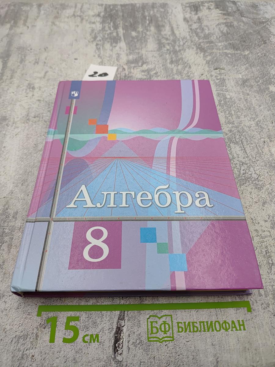 Алгебра 8 класс