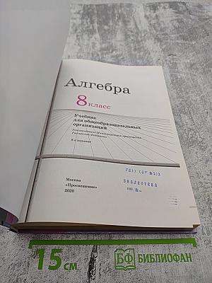 Алгебра 8 класс