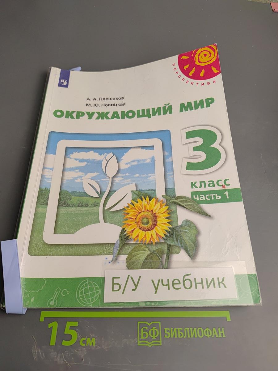 Окружающий мир 3 класс часть 1