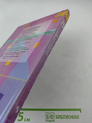 Алгебра 8 класс