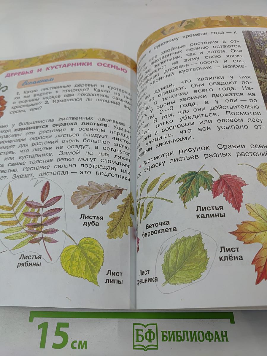 Окружающий мир, 2 класс, Часть первая