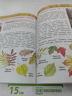 Окружающий мир, 2 класс, Часть первая