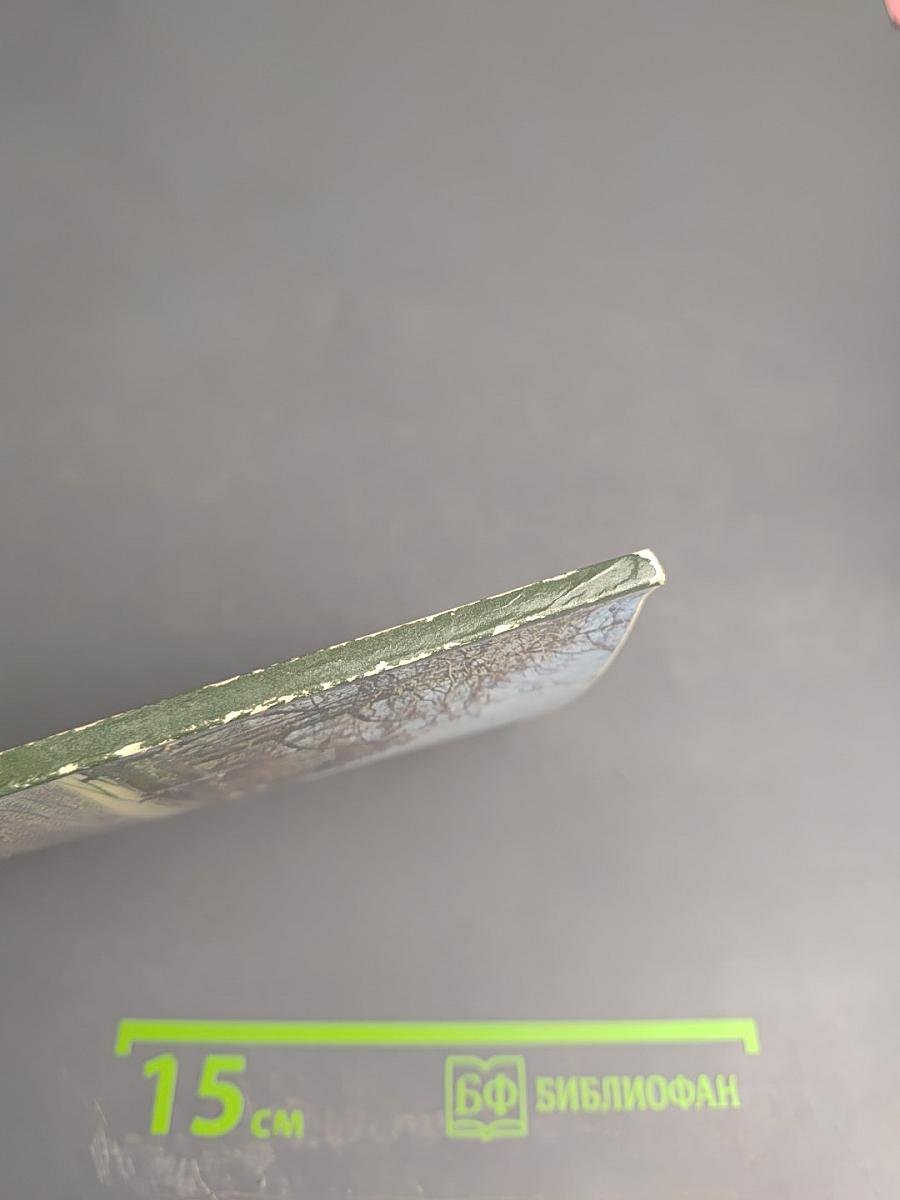 Проспект Максима Горького