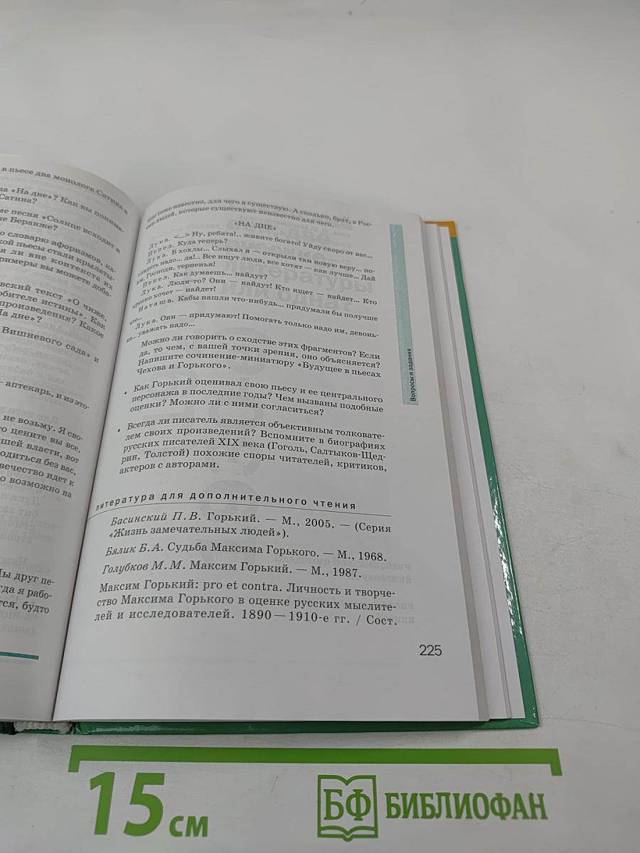 Литература, 11 класс, часть 1