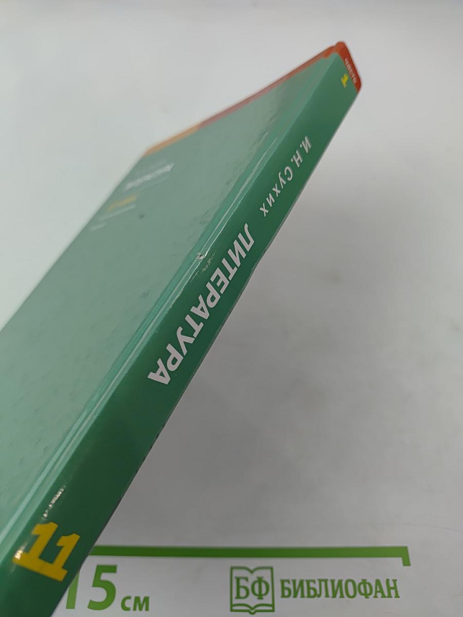 Литература, 11 класс, часть 1