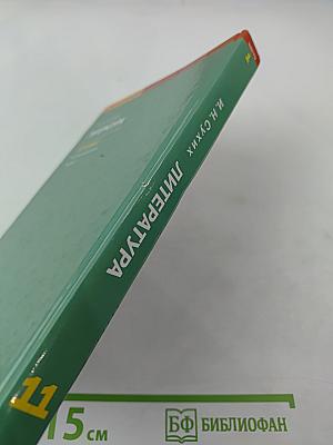 Литература, 11 класс, часть 1