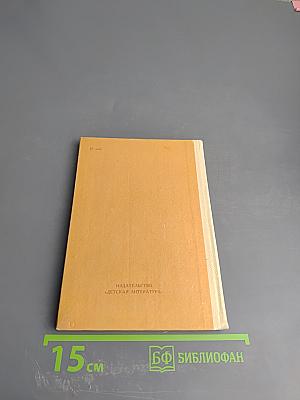 Рассказы о поэте