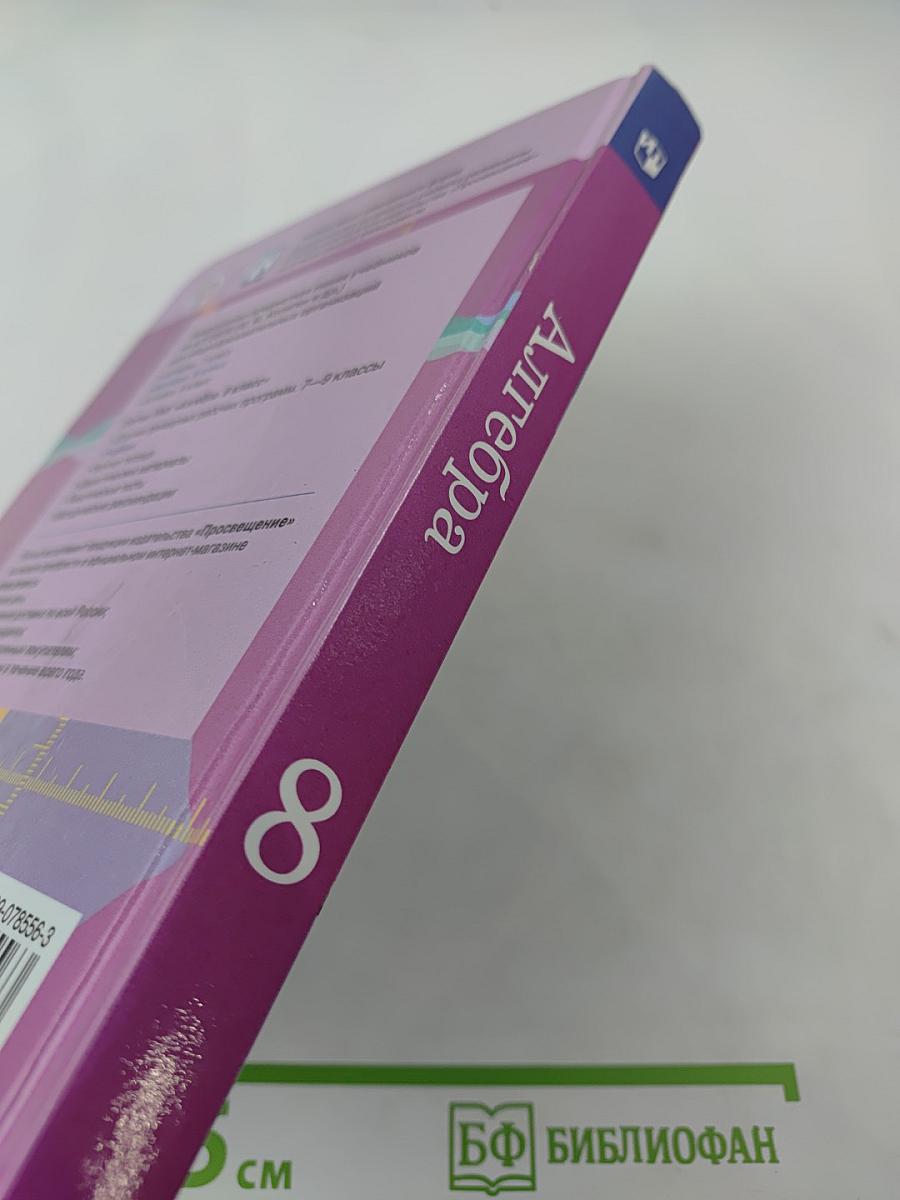 Алгебра 8 класс