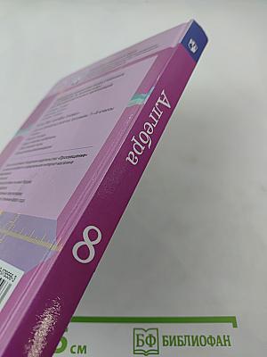Алгебра 8 класс