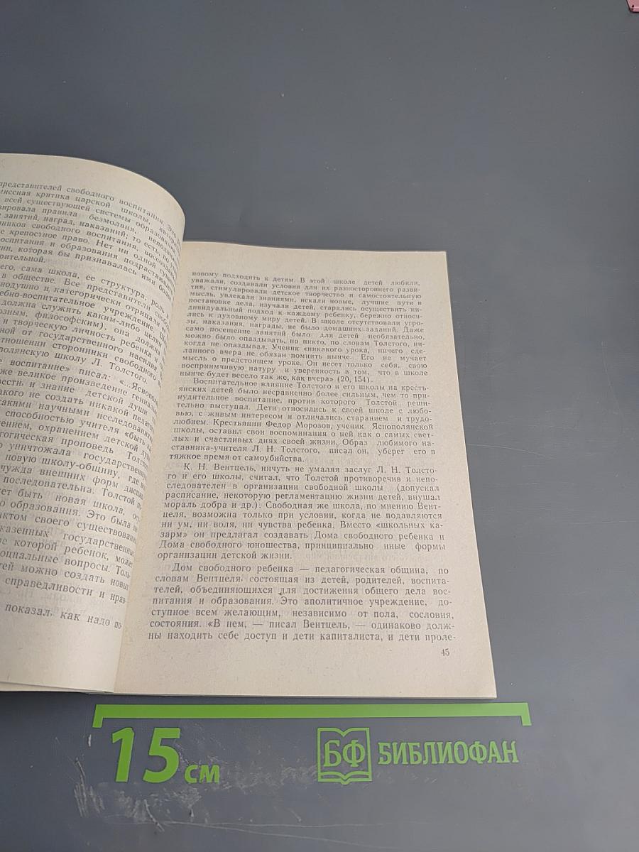 Альтернативные модели воспитания в сравнительной педагогике. Ч. II