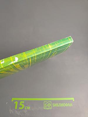 Становление и развитие профессиональной компетентности руководителя современной образовательной организации