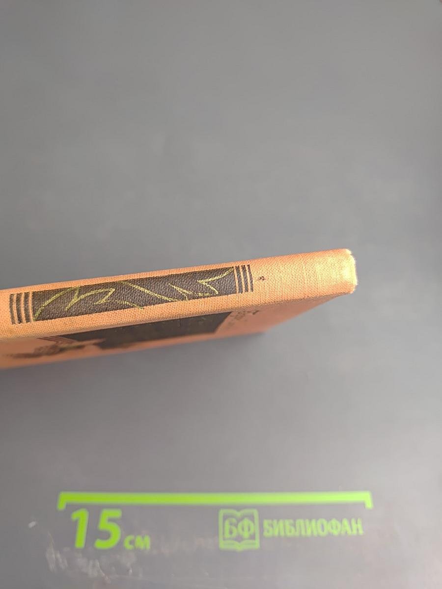 Женщины эпохи французской революции