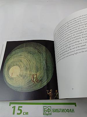 Hieronymus Bosch Between Heaven & Hell