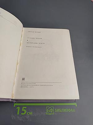 Госпожа Бовари. Воспитание чувств