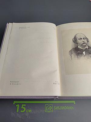 Госпожа Бовари. Воспитание чувств