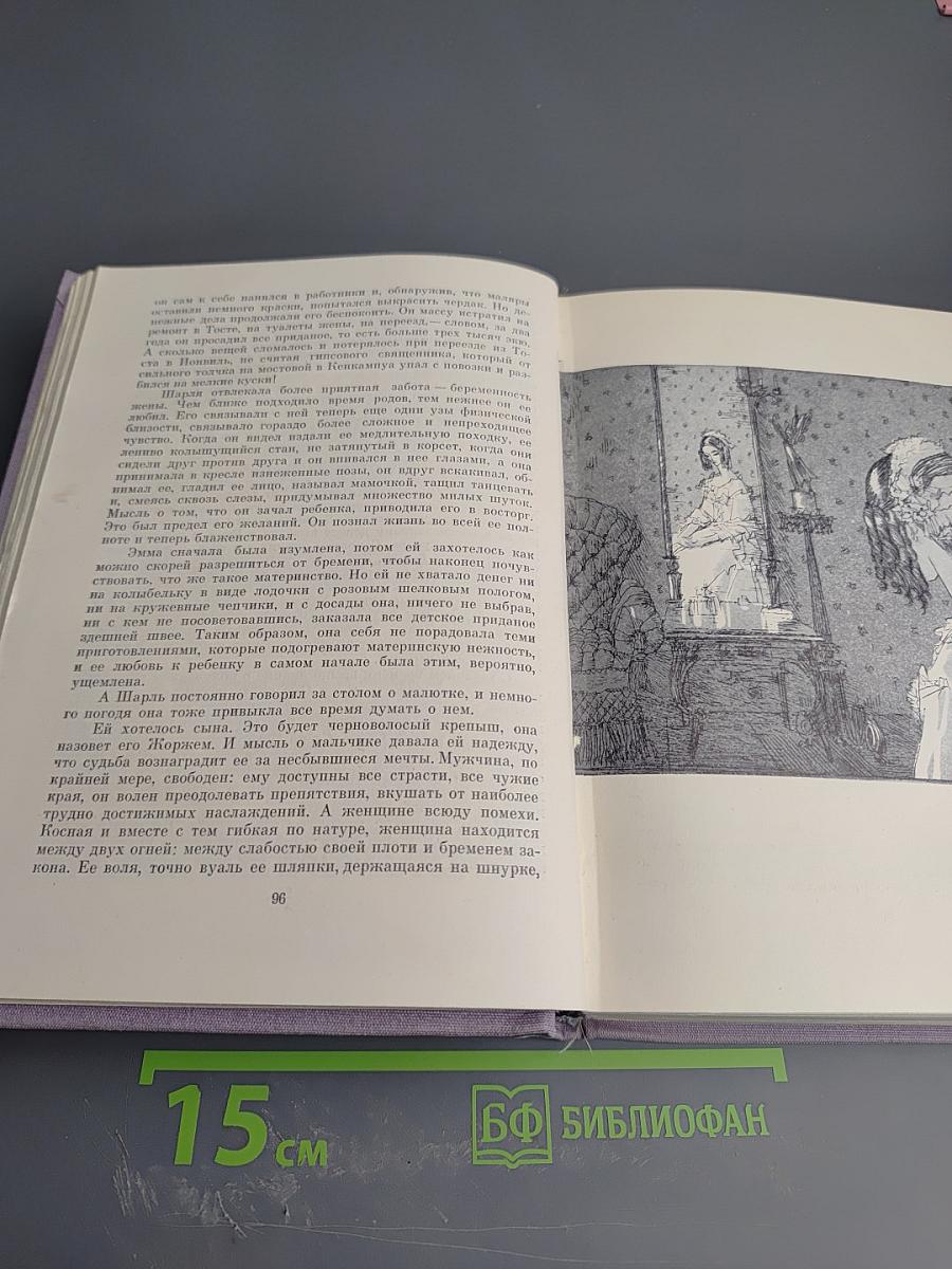 Госпожа Бовари. Воспитание чувств