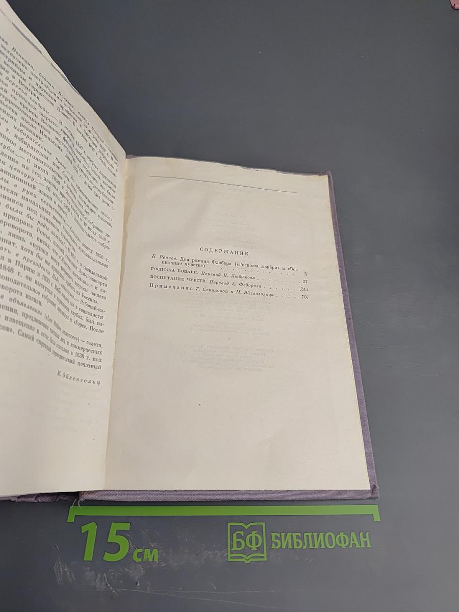 Госпожа Бовари. Воспитание чувств