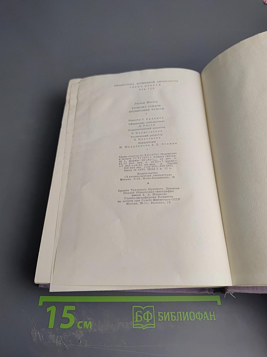 Госпожа Бовари. Воспитание чувств