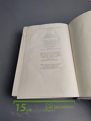 Госпожа Бовари. Воспитание чувств