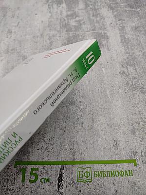 Русский язык и литература. Литература. 10 класс. Углубленный уровень. Часть 2