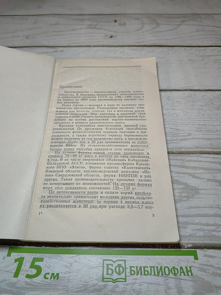 Разведение, кормление и содержание кроликов