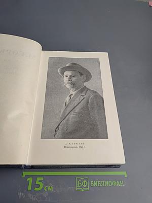 Собрание сочинений в тридцати томах. Том 24: Статьи, речи, приветствия. 1907-1928