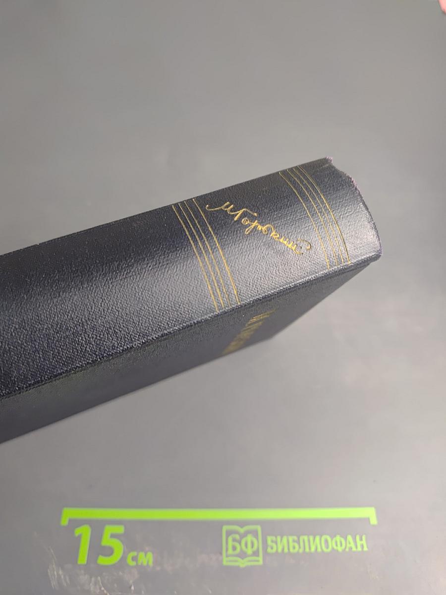 Собрание сочинений в тридцати томах. Том 24: Статьи, речи, приветствия. 1907-1928