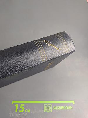 Собрание сочинений в тридцати томах. Том 24: Статьи, речи, приветствия. 1907-1928