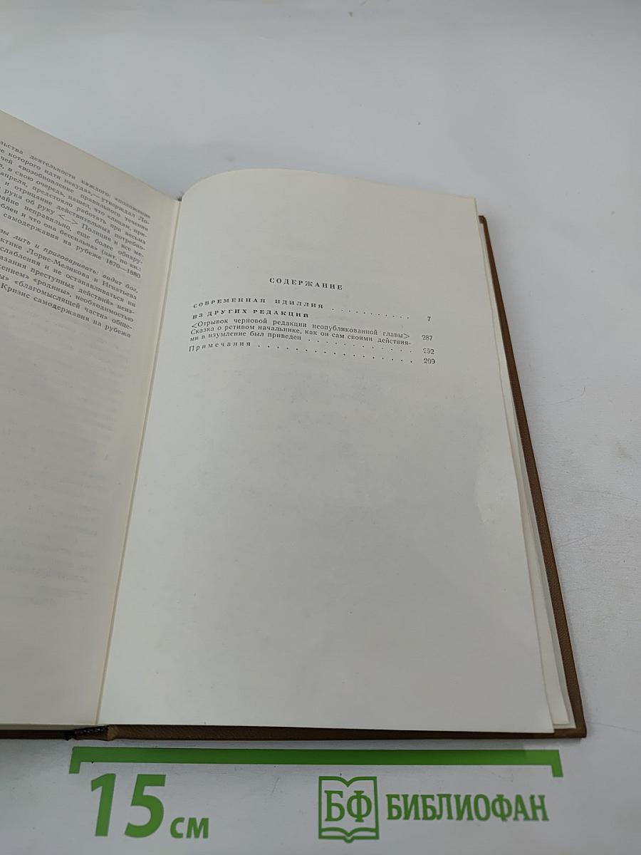 Собрание сочинений. Том пятнадцатый, книга первая. Современная идиллия