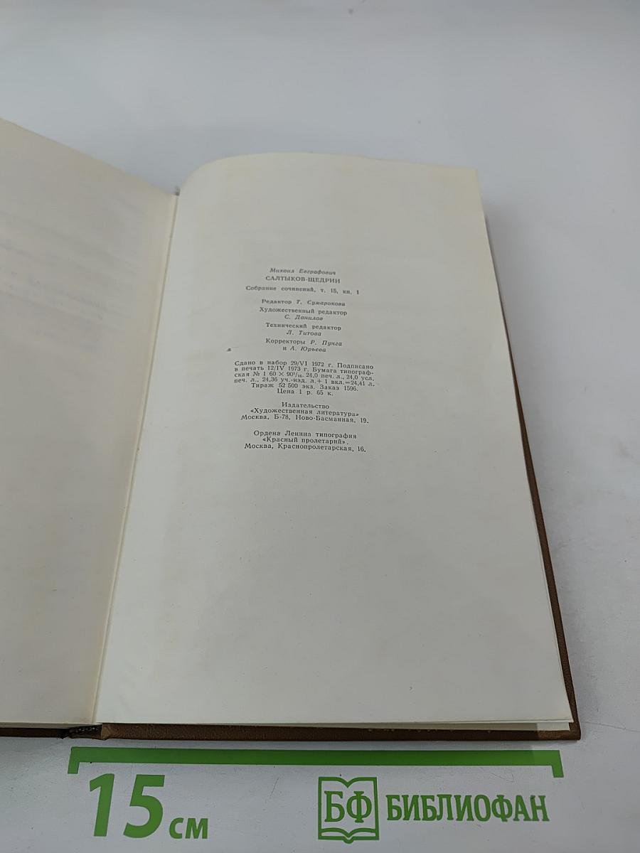 Собрание сочинений. Том пятнадцатый, книга первая. Современная идиллия