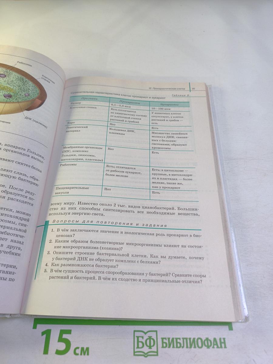 Биология. Общая биология. 10 класс. Базовый уровень