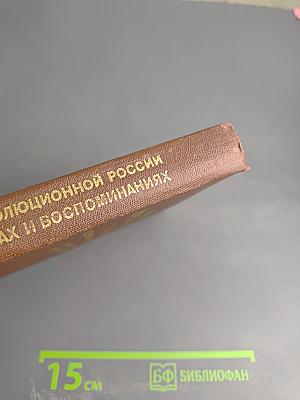 История дореволюционной России в дневниках и воспоминаниях. Т.3. Ч.4. 1857-1894