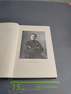 Собрание сочинений в 30 томах. Том 6. Пьесы. 1901-1906