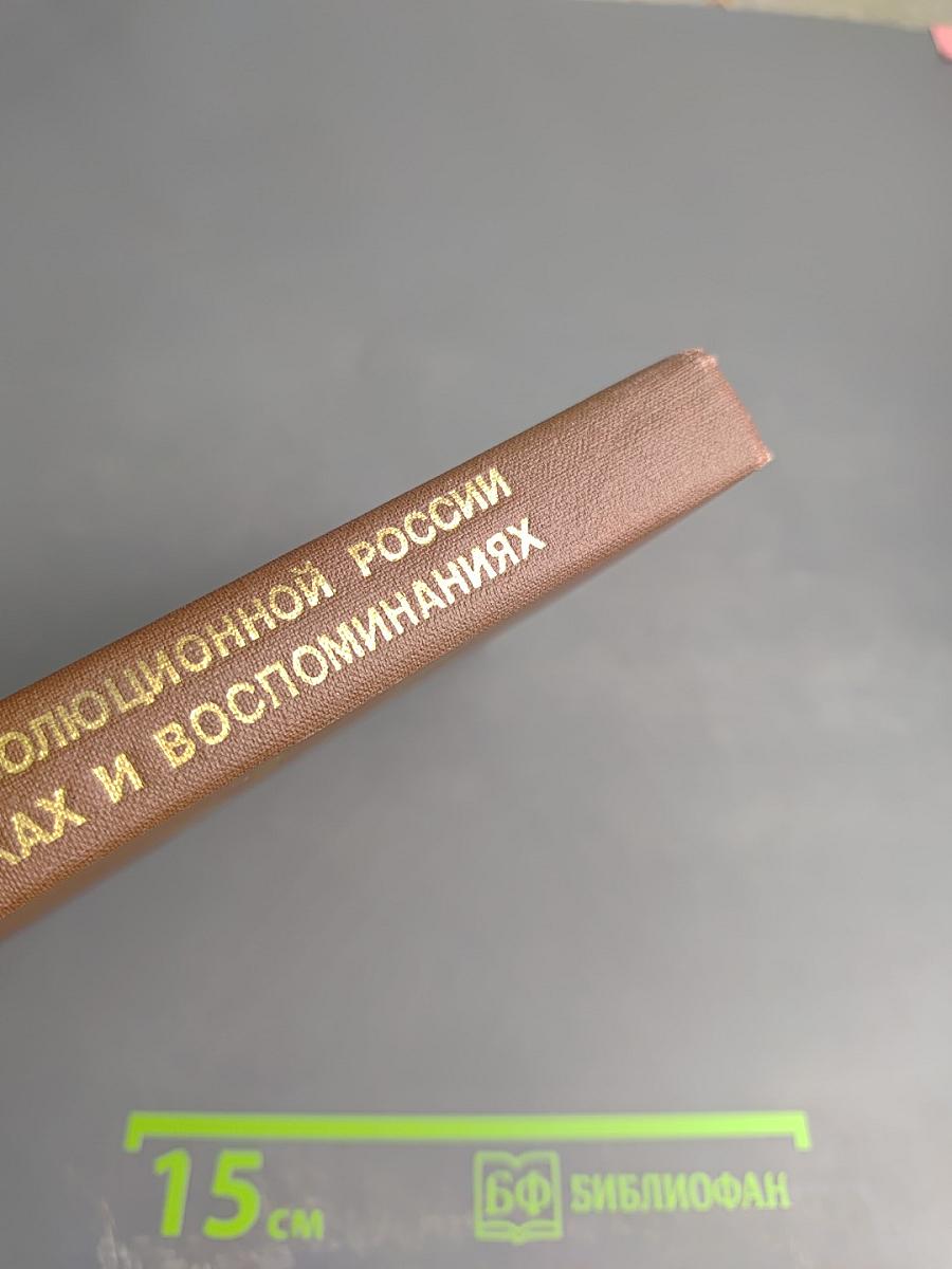 История дореволюционной России в дневниках и воспоминаниях. Том 3, Часть 2