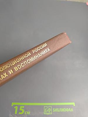 История дореволюционной России в дневниках и воспоминаниях. Том 3, Часть 2