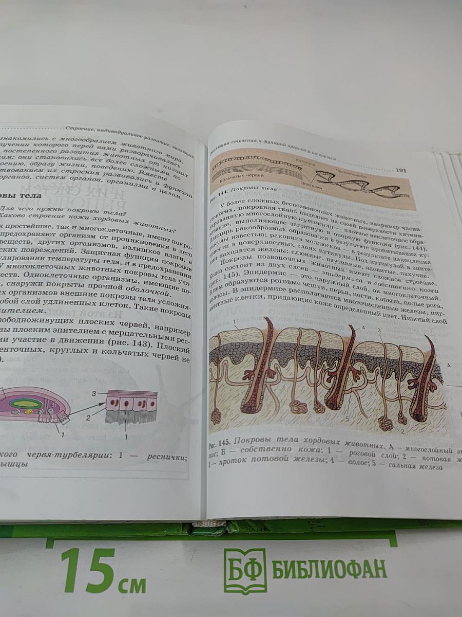 Биология Животные 7 класс
