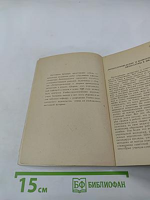 К вопросу о преподавании литературы в школе