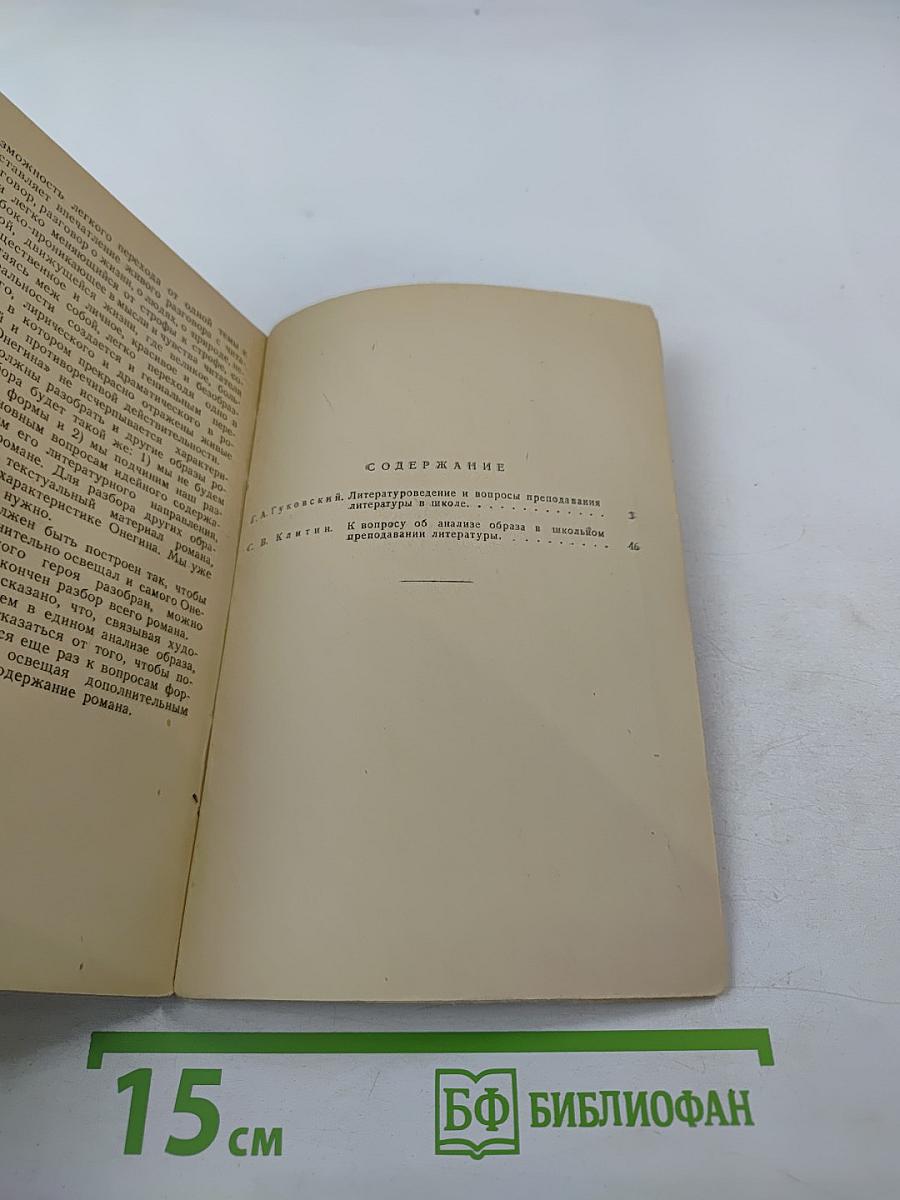 К вопросу о преподавании литературы в школе