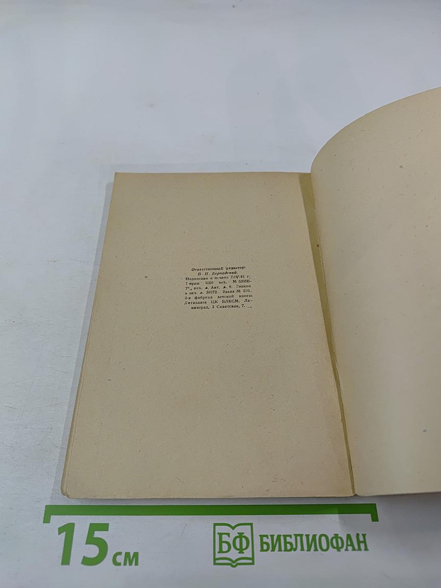 К вопросу о преподавании литературы в школе