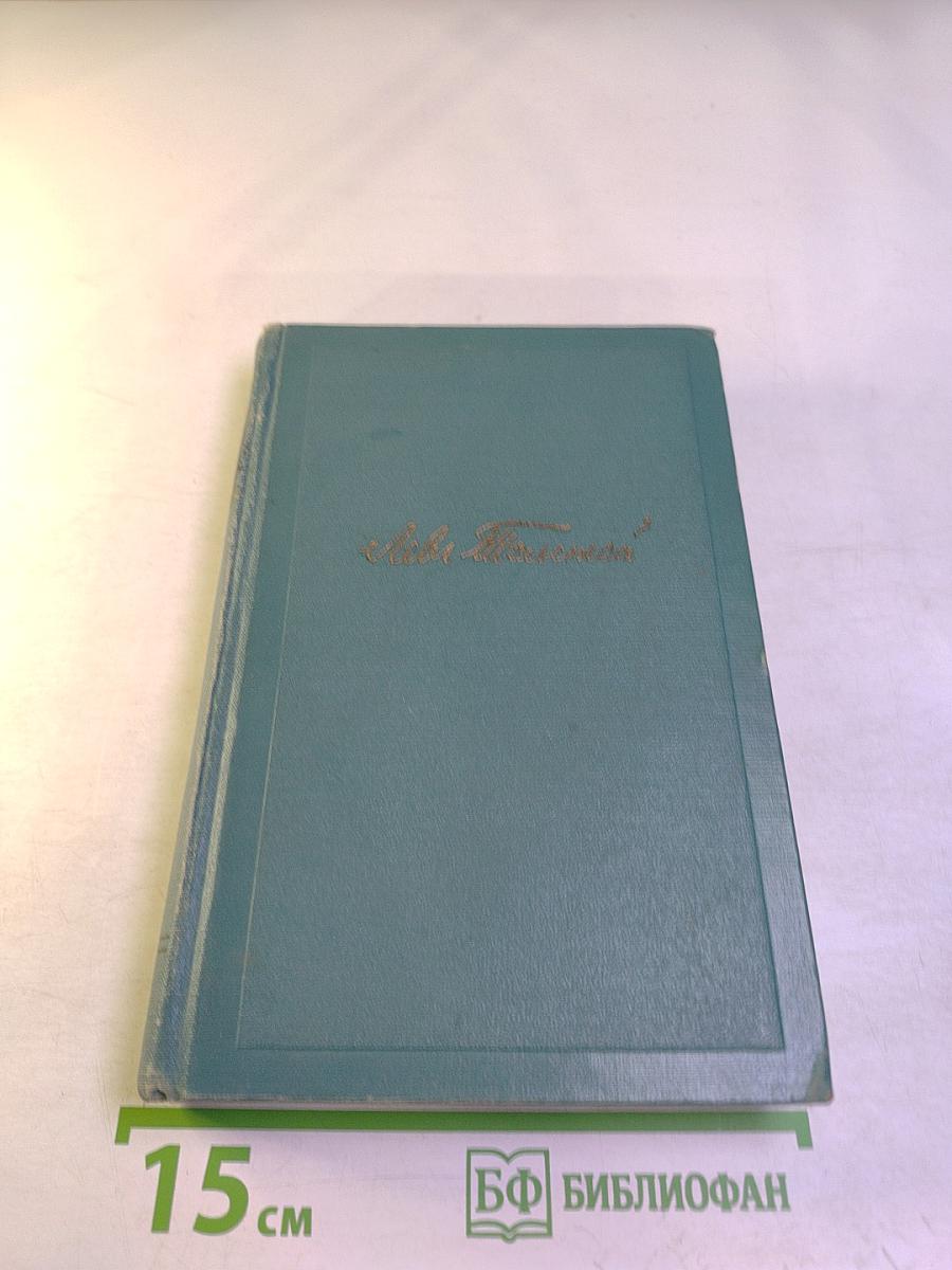 Анна Каренина. Том девятый