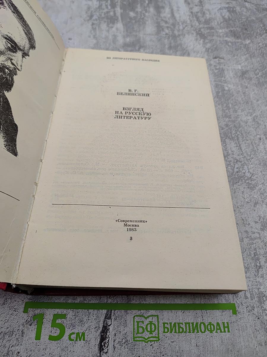 Взгляд на русскую литературу