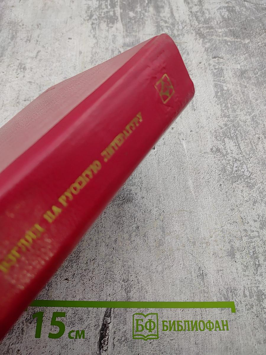 Взгляд на русскую литературу