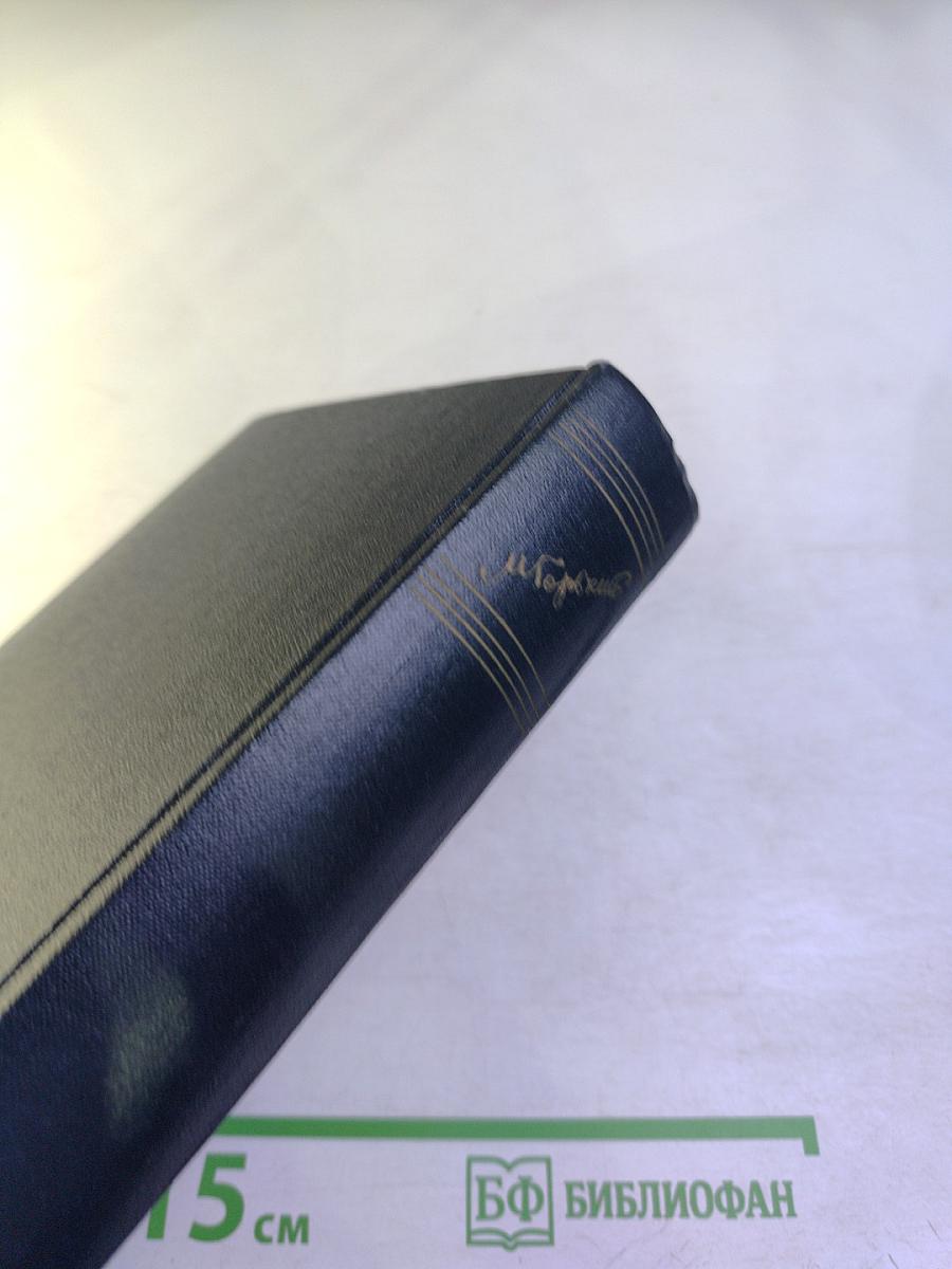 М. Горький. Том 3. Рассказы 1896–1899