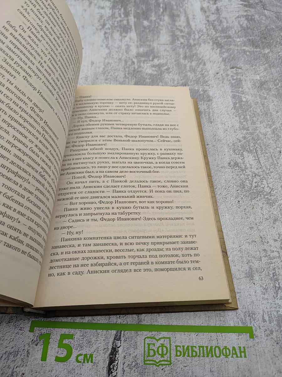 Деревенский детектив