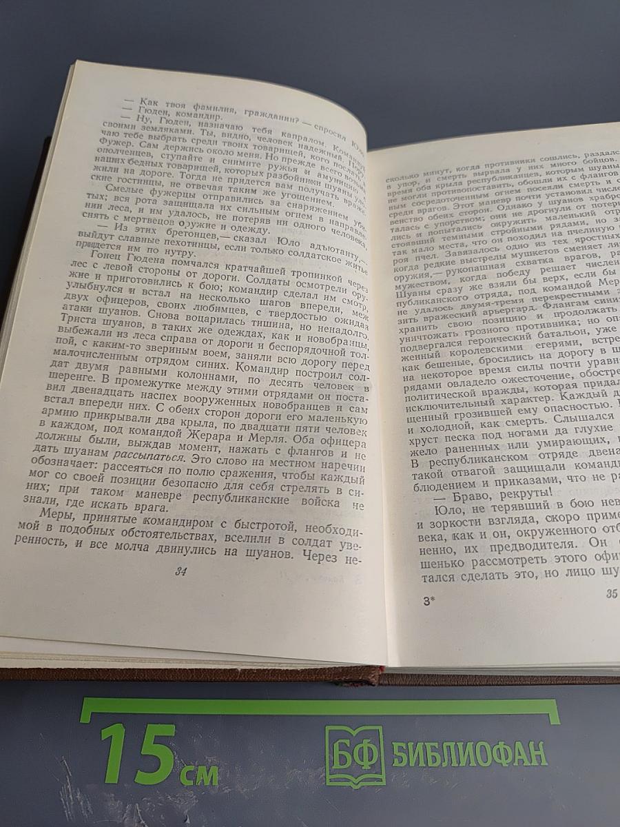 Человеческая комедия. Сцены военной жизни. Сцены политической жизни. Том 11