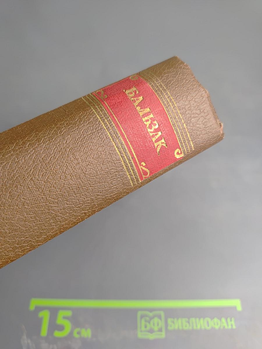 Человеческая комедия. Сцены военной жизни. Сцены политической жизни. Том 11