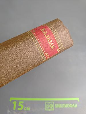 Человеческая комедия. Сцены военной жизни. Сцены политической жизни. Том 11