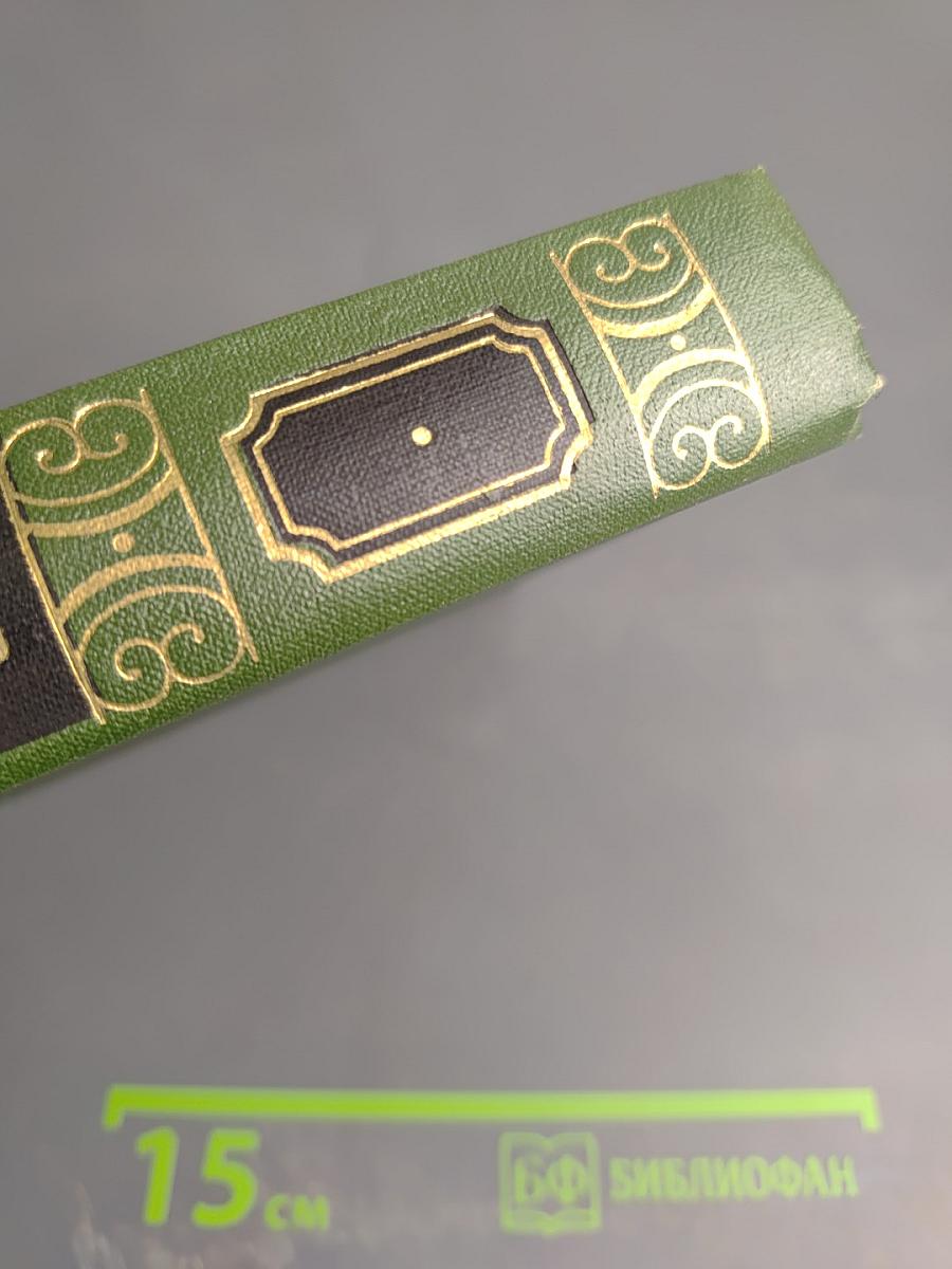 Жизнь и приключения Николаса Никльби. Том 3